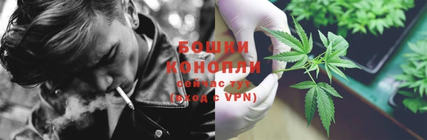 spice Бронницы